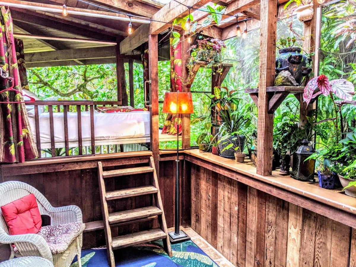 Kehena Mauka Nui Club Lgbtqia+ Clothing Optional Bed & Breakfast Pahoa Oda fotoğraf