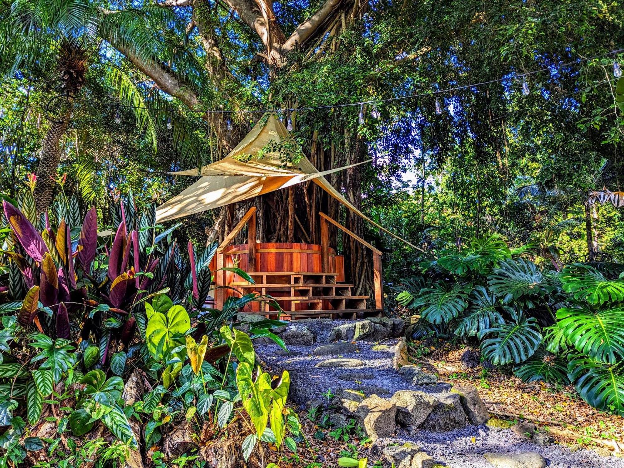 Kehena Mauka Nui Club Lgbtqia+ Clothing Optional Bed & Breakfast Pahoa Dış mekan fotoğraf