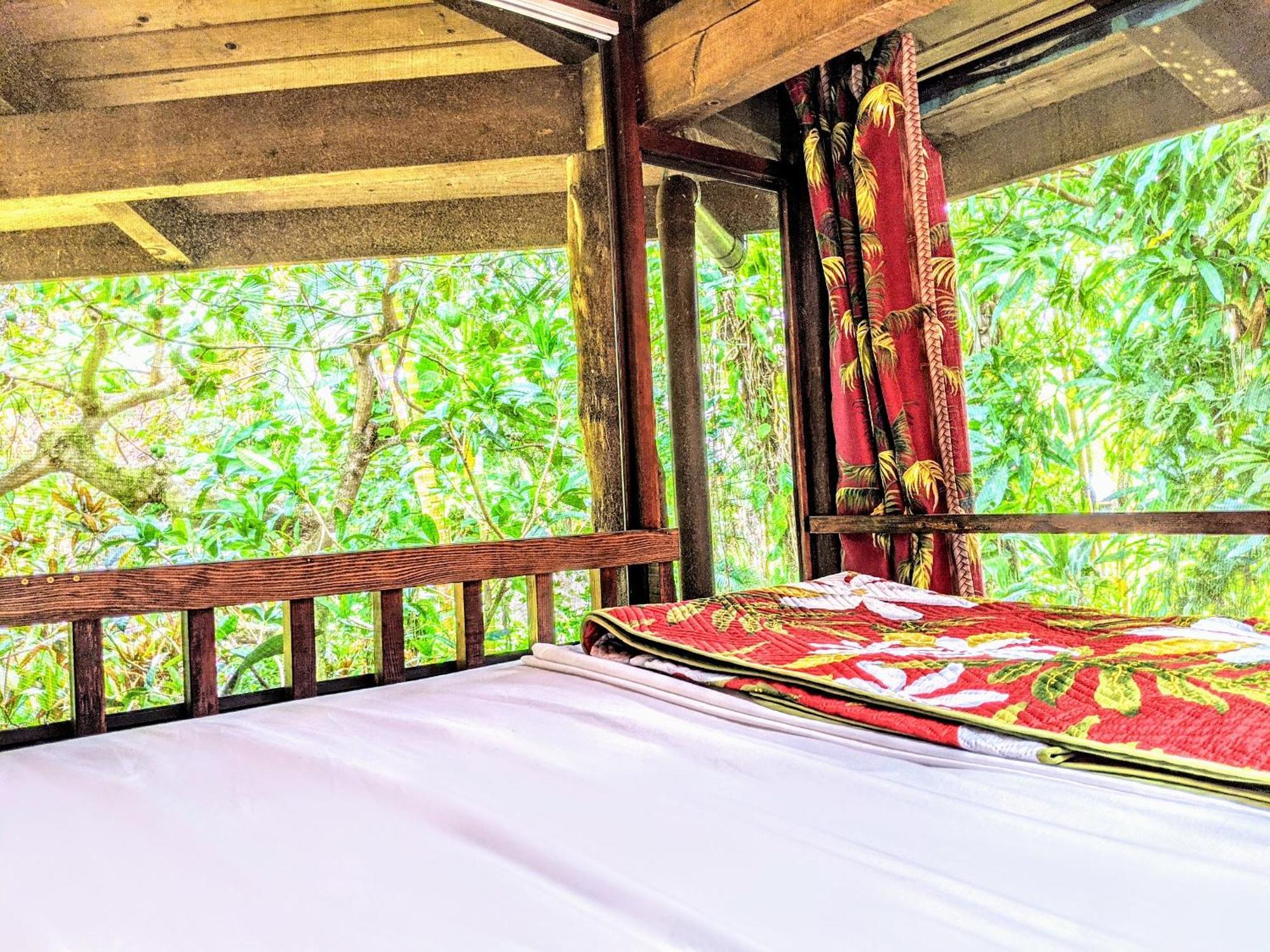 Kehena Mauka Nui Club Lgbtqia+ Clothing Optional Bed & Breakfast Pahoa Oda fotoğraf